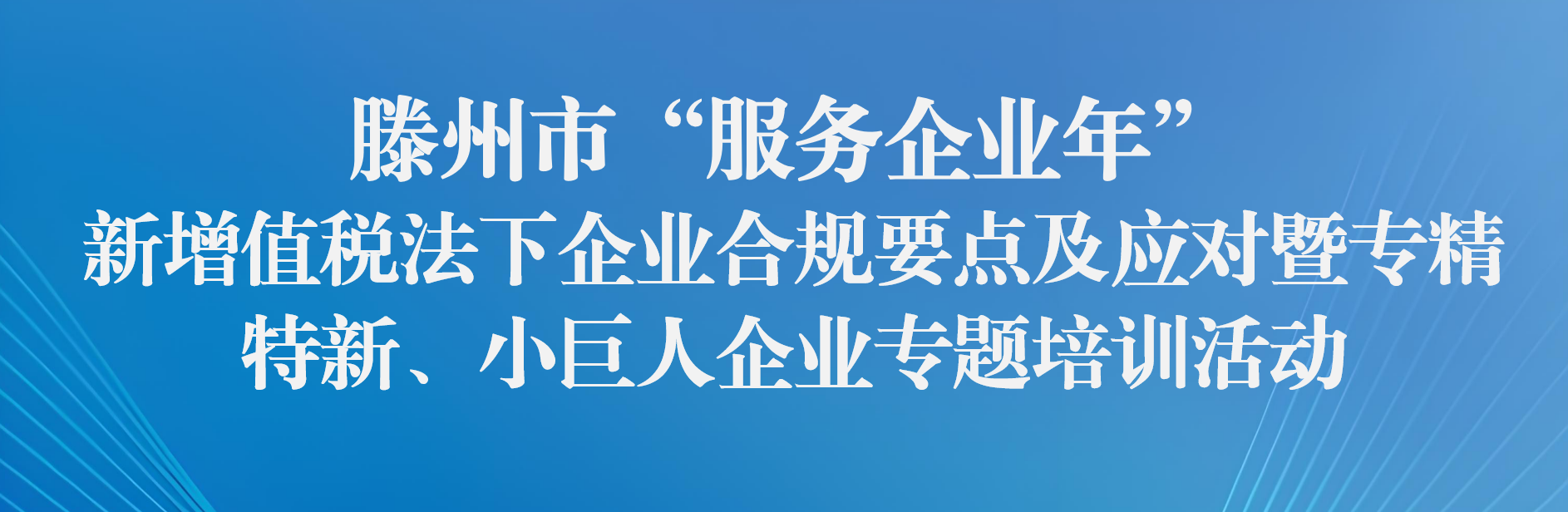 新增值税法下企业合规要点及应对暨专精特新、小巨人企业专题培训活动